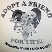 Wyoming County SPCA Of Attica